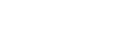 Dizblanc LLC